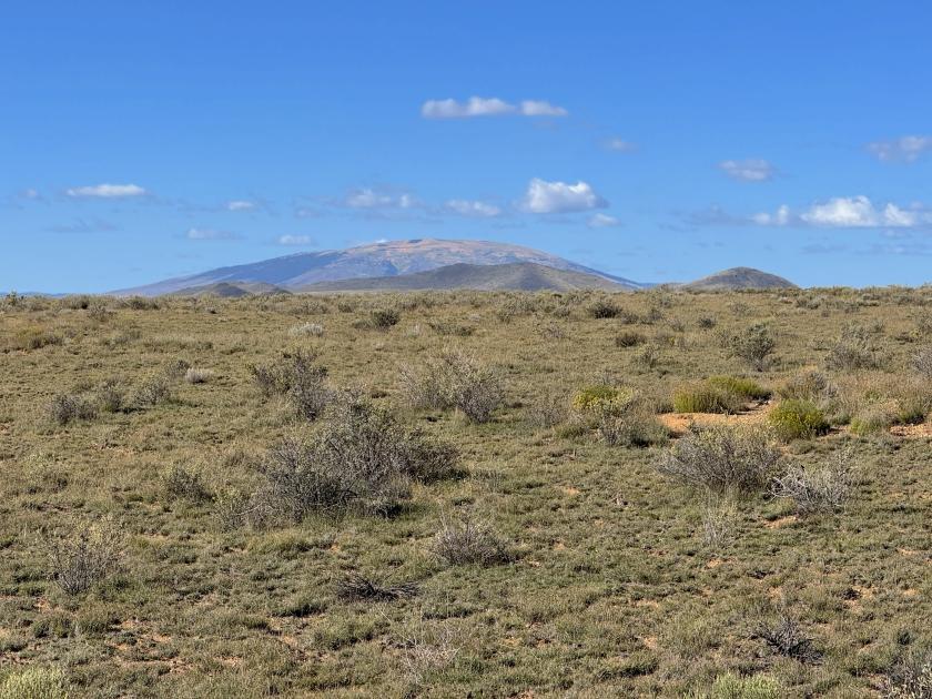 5.00 Acres for Sale in Jaroso, Colorado