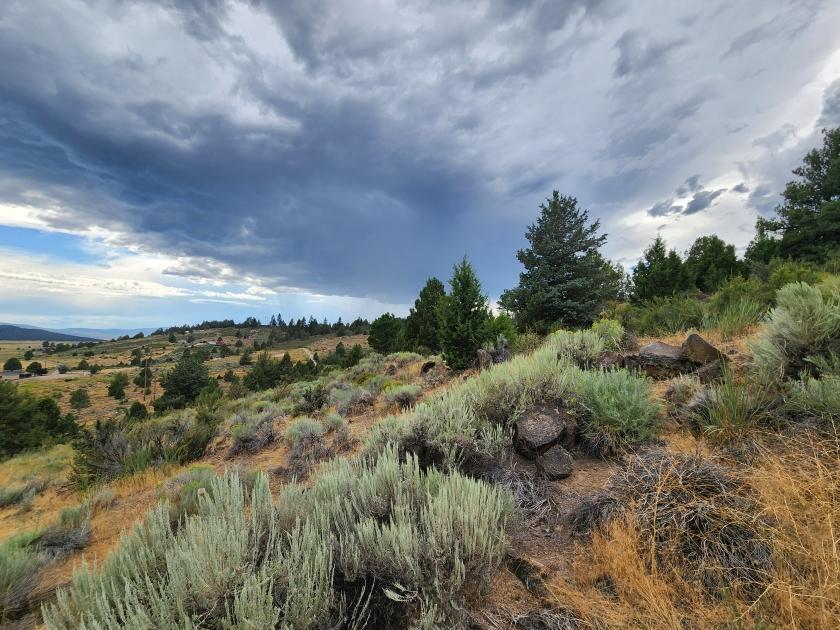 3.13 Acres for Sale in Beatty, Oregon