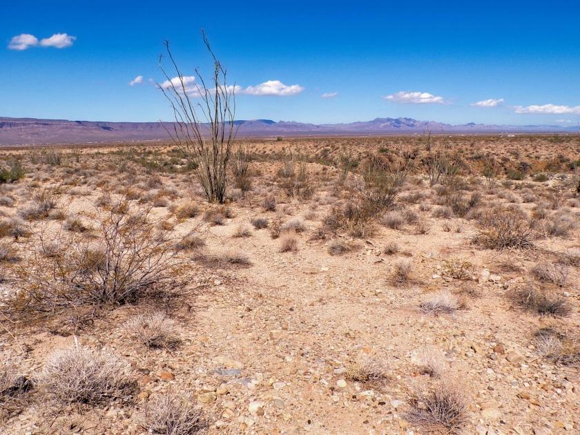 4.7 Acres for Sale in Yucca, Arizona