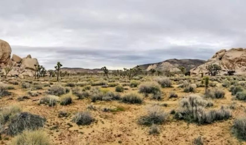 1.25 Acres for Sale in Kingman, Arizona