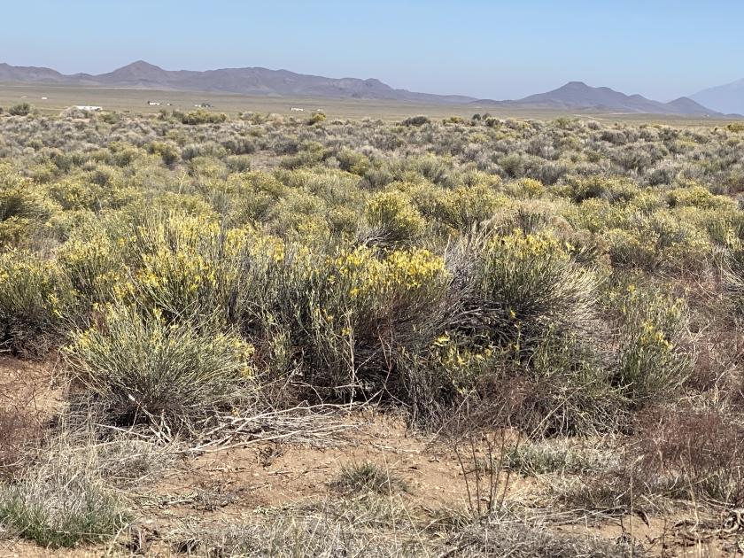 5 Acres for Sale in Mesita, Colorado