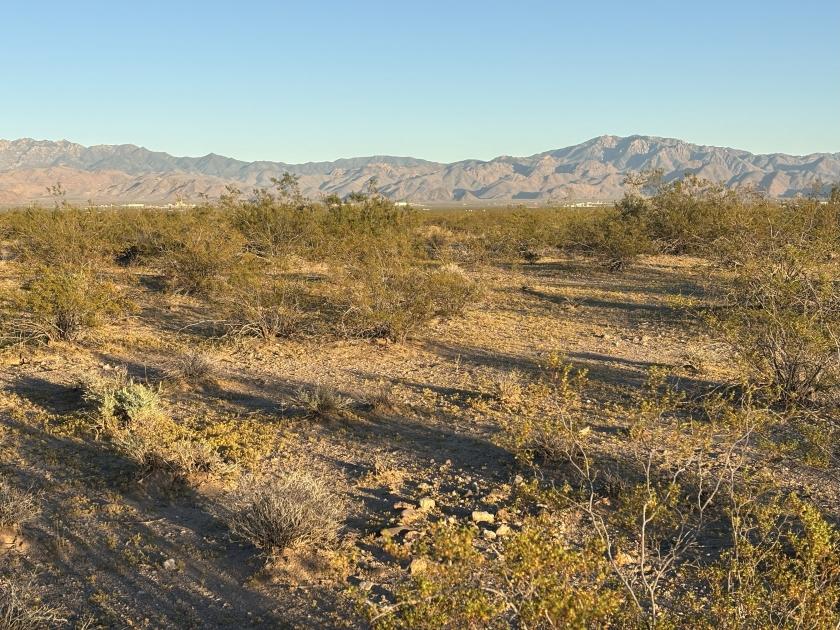 2.35 Acres for Sale in Golden Valley, Arizona