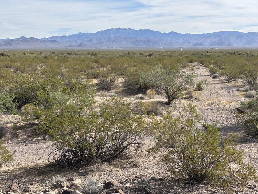 1.96 Acres for Sale in Golden Valley, Arizona