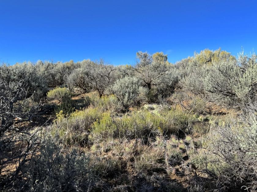 2.62 Acres for Sale in San Luis, Colorado