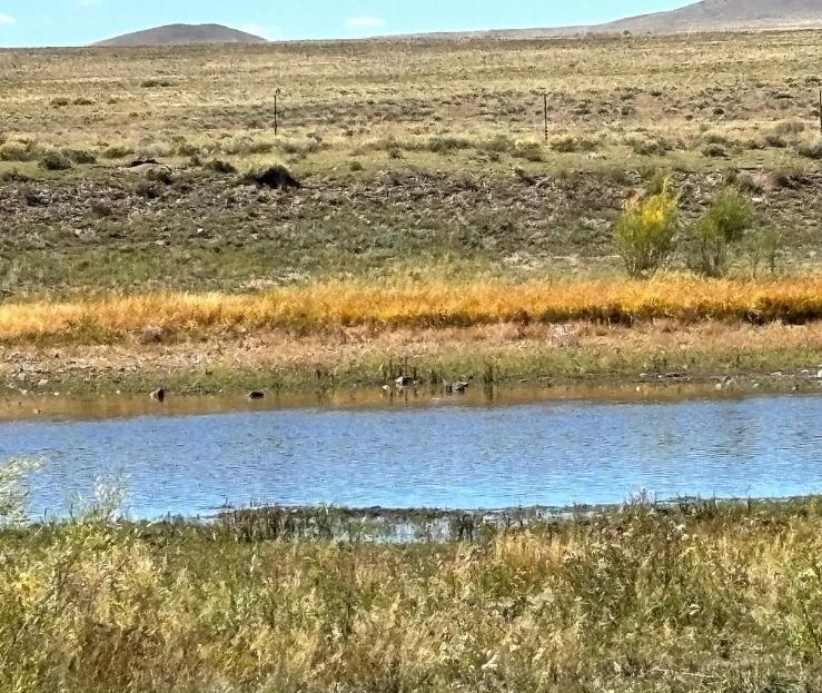 10 Acres for Sale in San Luis (www.commonlots.net), Colorado