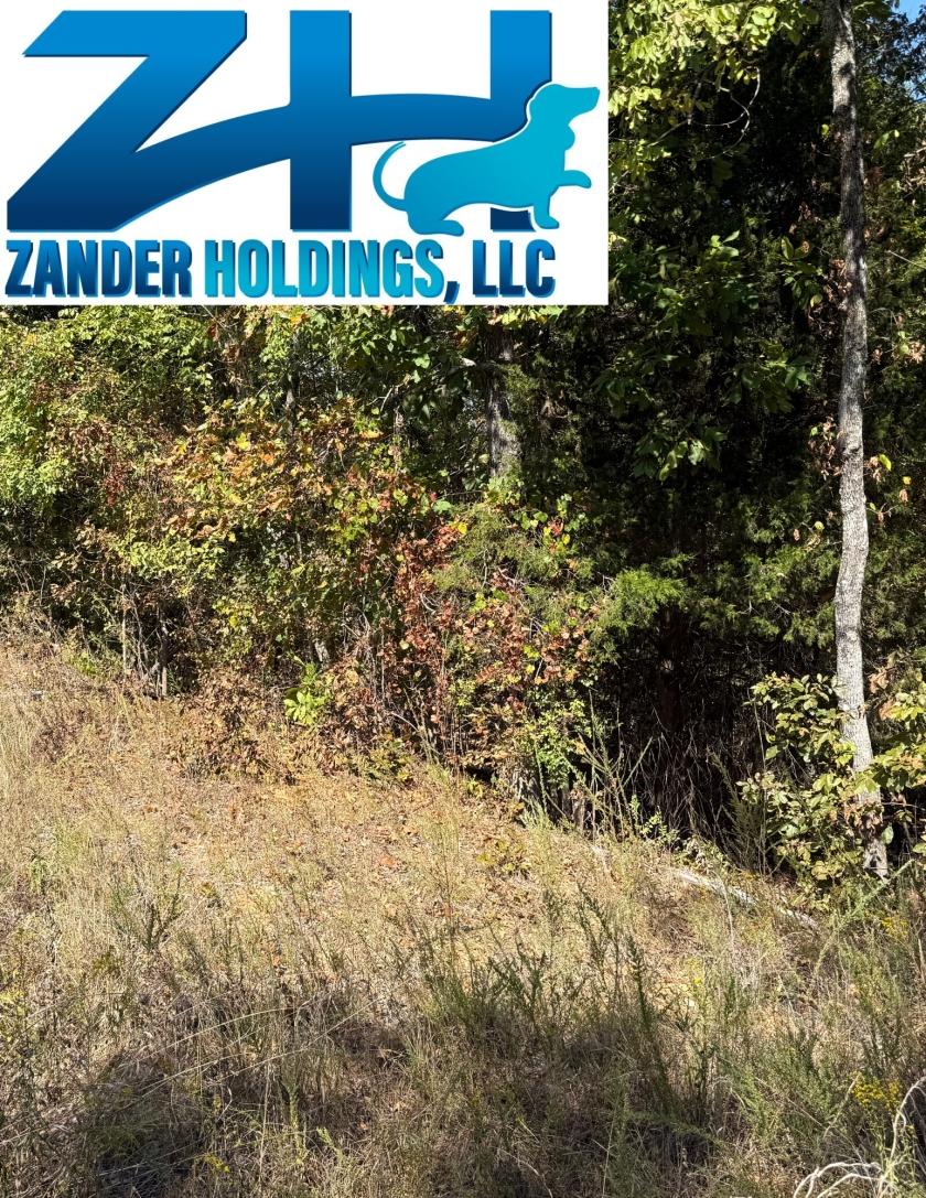 0.11 Acres for Sale in NEW CONCORD, KENTUCKY