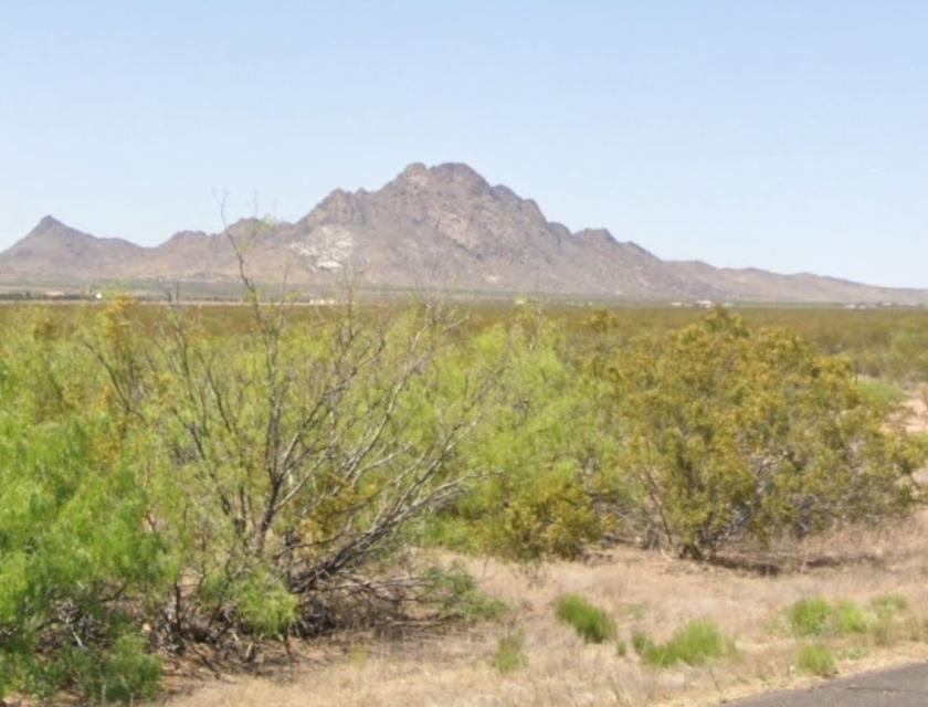 1.83 Acres for Sale in Columbus, New Mexico