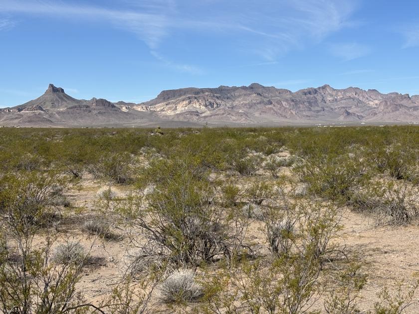 6.4 Acres for Sale in Golden Valley, Arizona