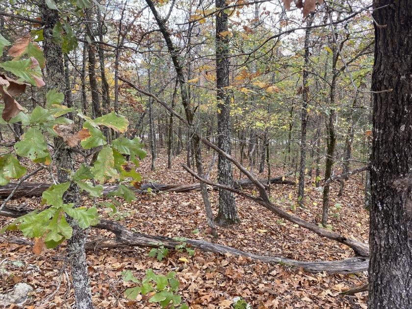 0.32 Acres for Sale in Horseshoe Bend, Arkansas