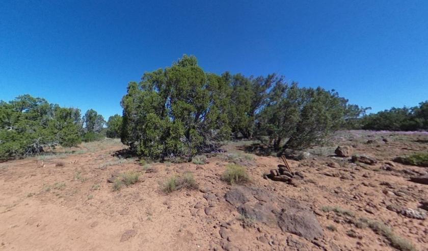 1.27 Acres for Sale in Concho, Arizona