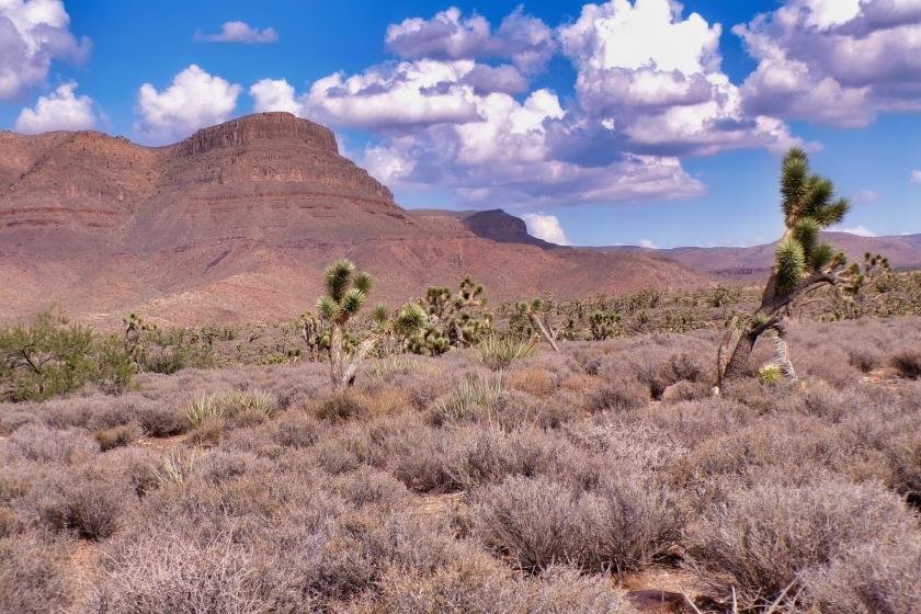 1.25 Acres for Sale in Meadview, Arizona