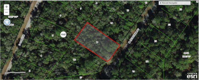 0.45 Acres for Sale in Citrus Springs, Florida