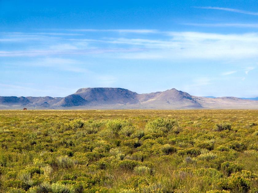 5 Acres for Sale in San Luis, Colorado