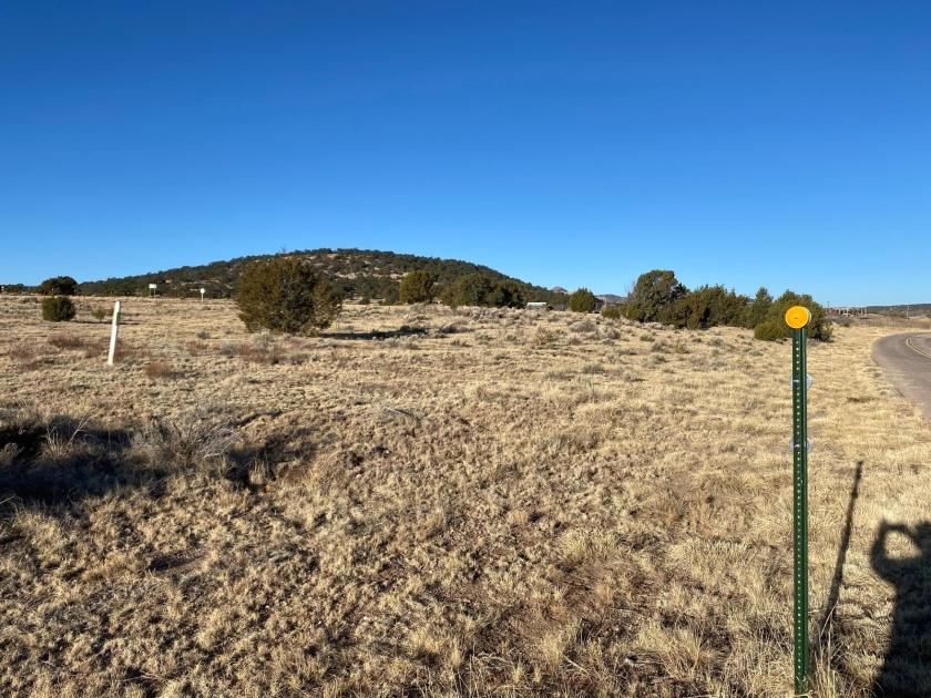 0.62 Acres for Sale in Buffalo Gap, New Mexico