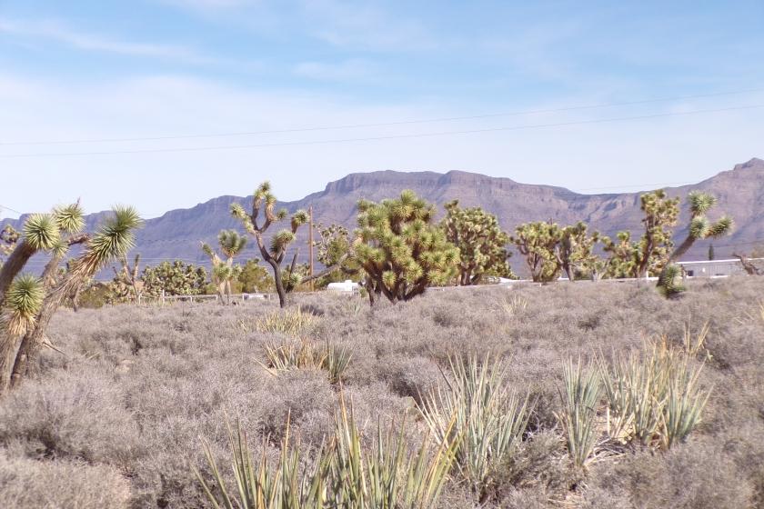 1.25 Acres for Sale in Meadview, Arizona