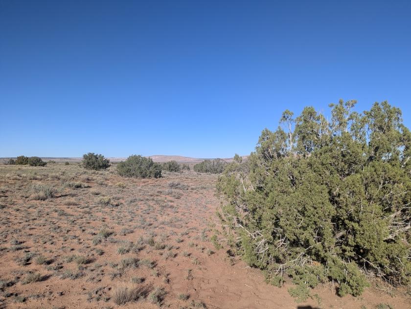 1.03 Acres for Sale in Concho, Arizona