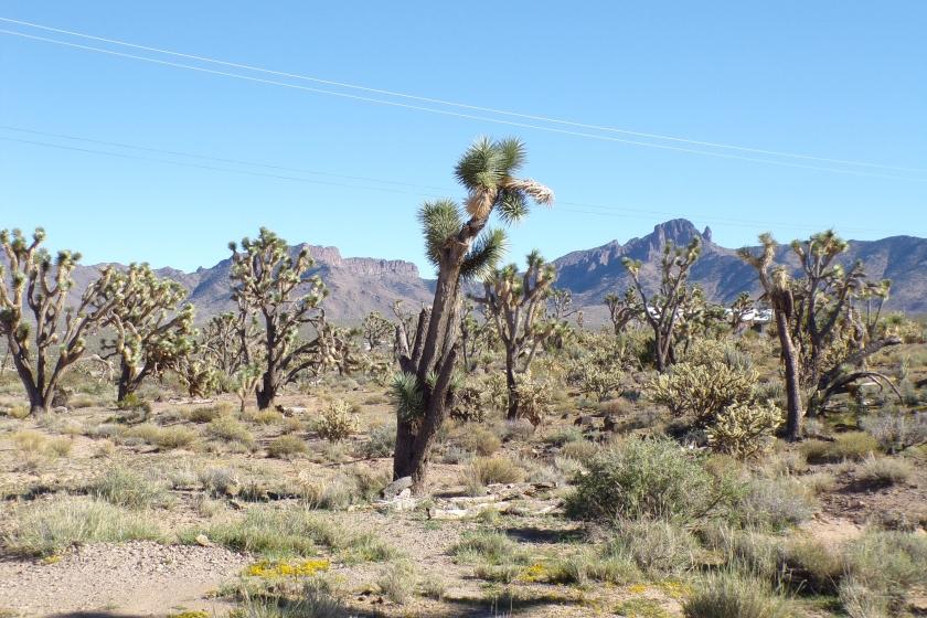 1 Acres for Sale in Dolan Springs, Arizona