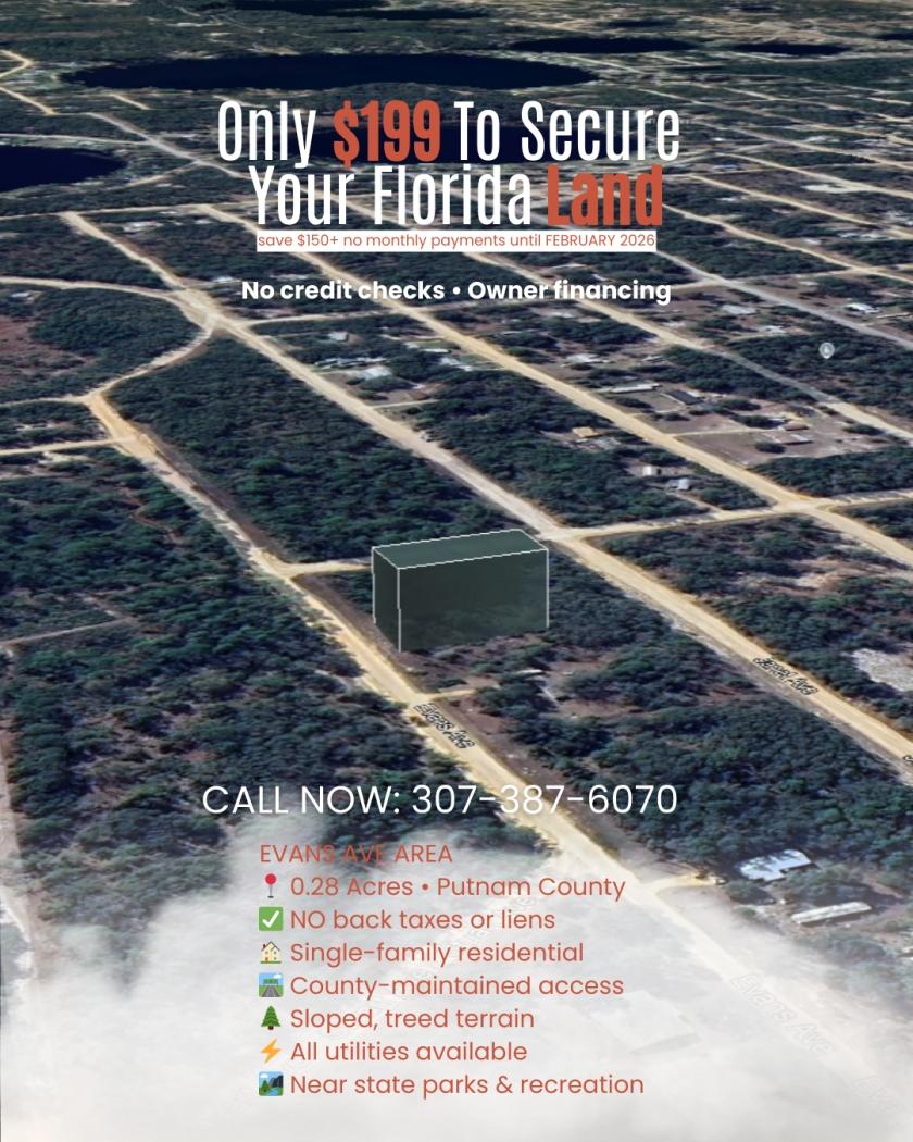 0.28 Acres for Sale in Interlachen, Florida