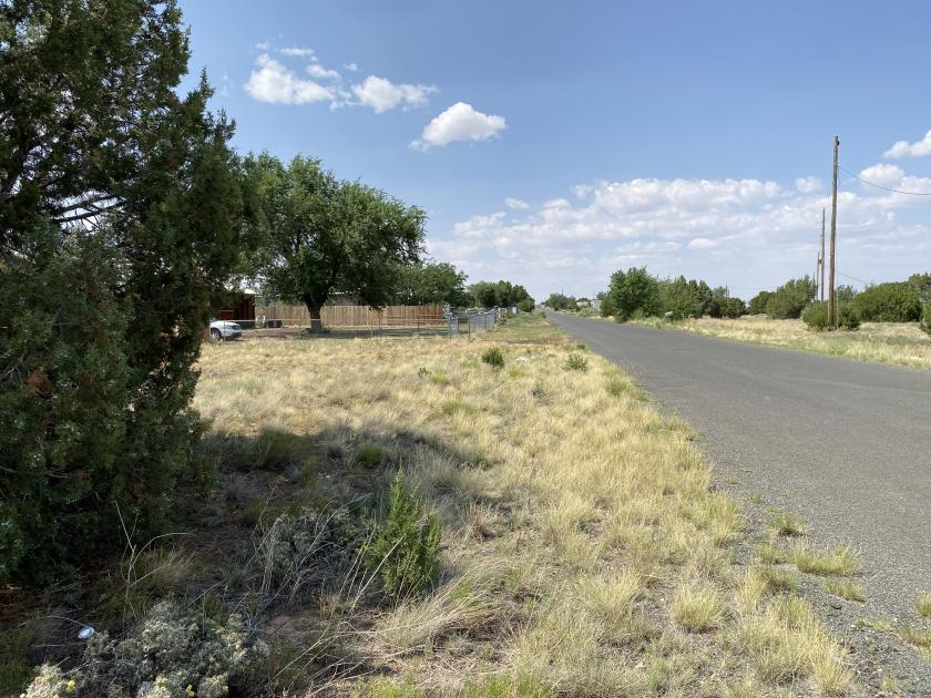 0.38 Acres for Sale in Concho, Arizona