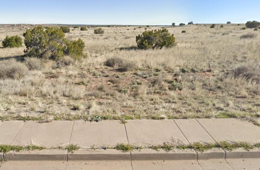 1.15 Acres for Sale in Sanders, Arizona