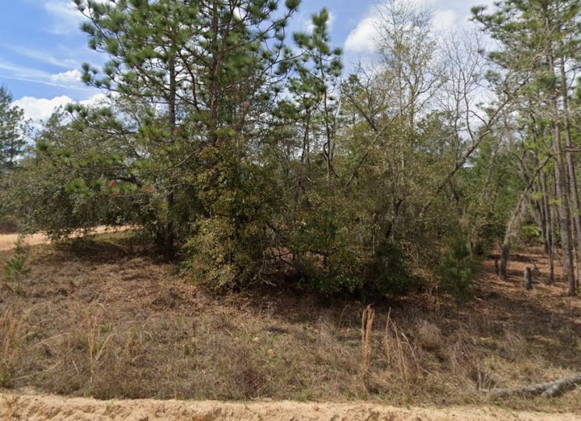 0.22 Acres for Sale in Interlachen, Florida