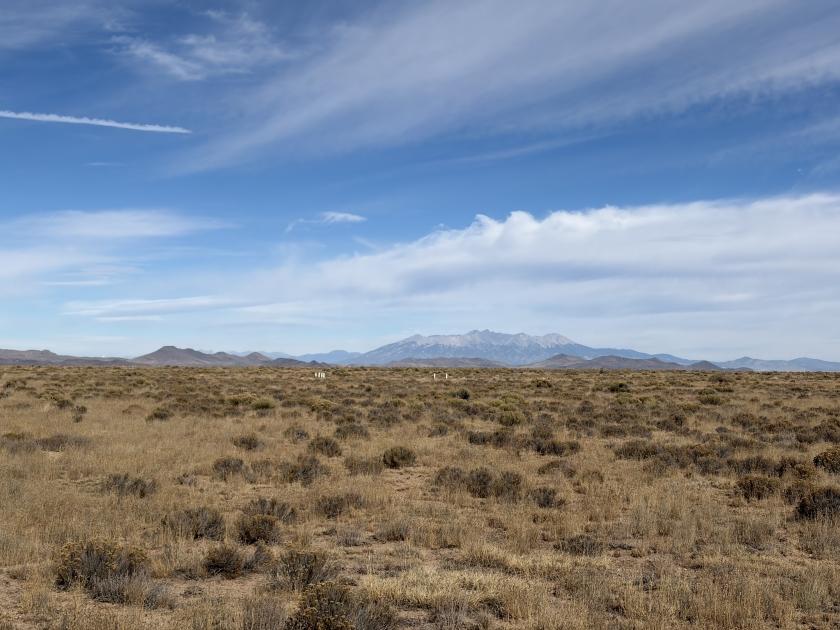 10.02 Acres for Sale in Mesita, Colorado