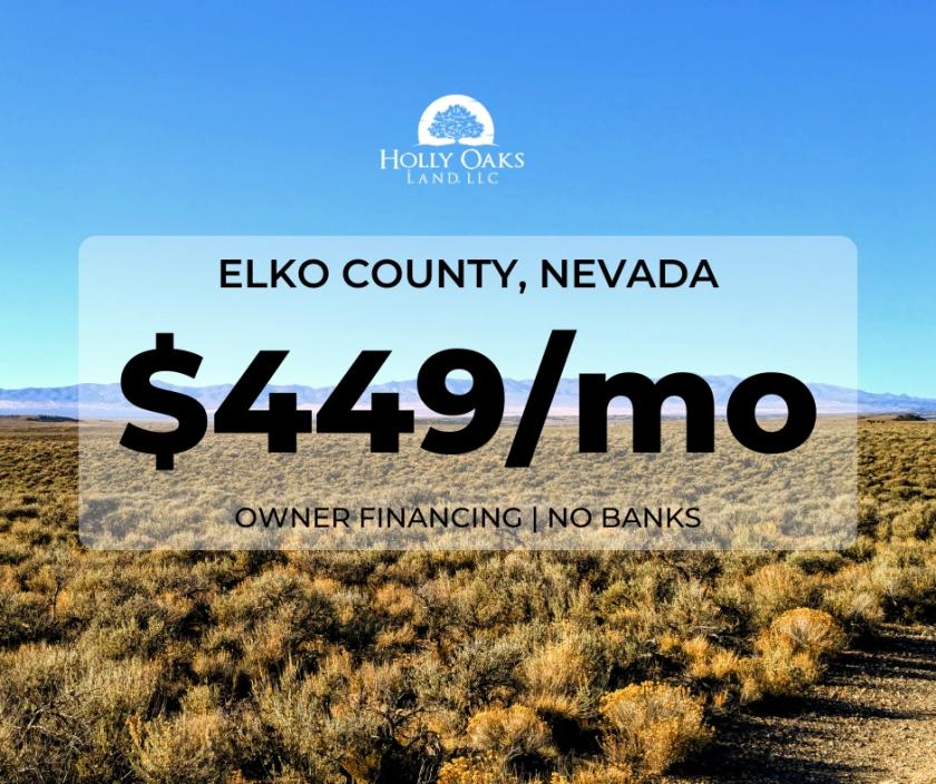 40 Acres for Sale in Wells, Nevada