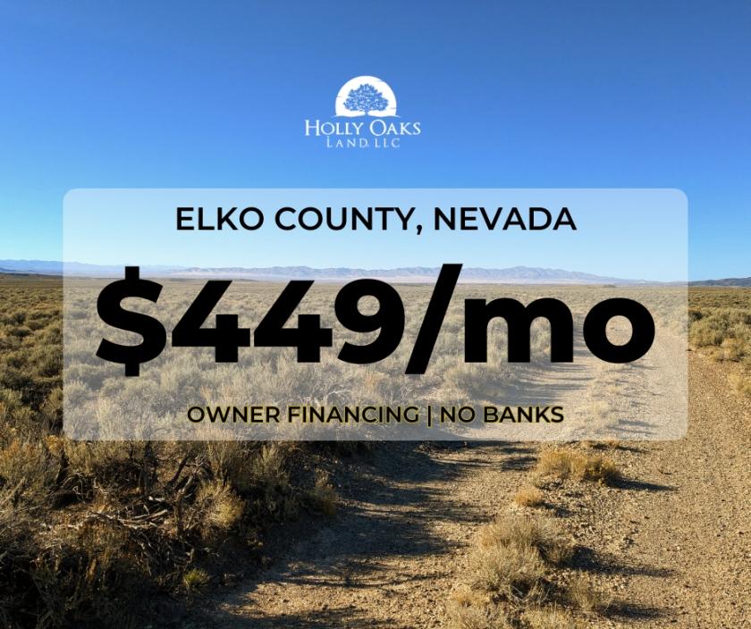 40 Acres for Sale in Wells, Nevada