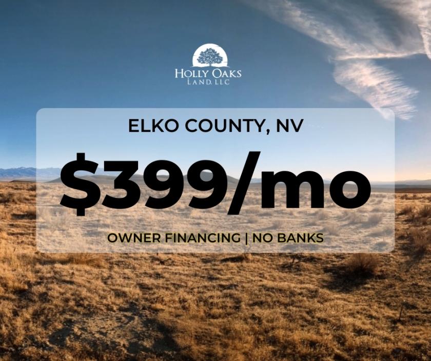 40 Acres for Sale in River Ranch, Nevada