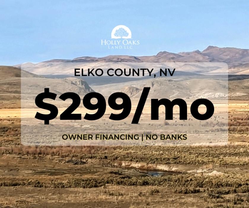 20 Acres for Sale in Halleck, Nevada