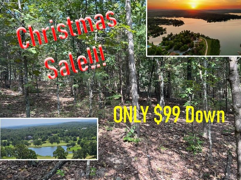 0.73 Acres for Sale in Horseshoe Bend, Arkansas
