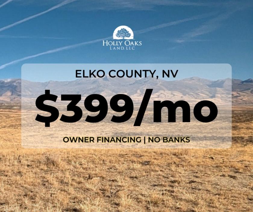 40 Acres for Sale in Halleck, Nevada