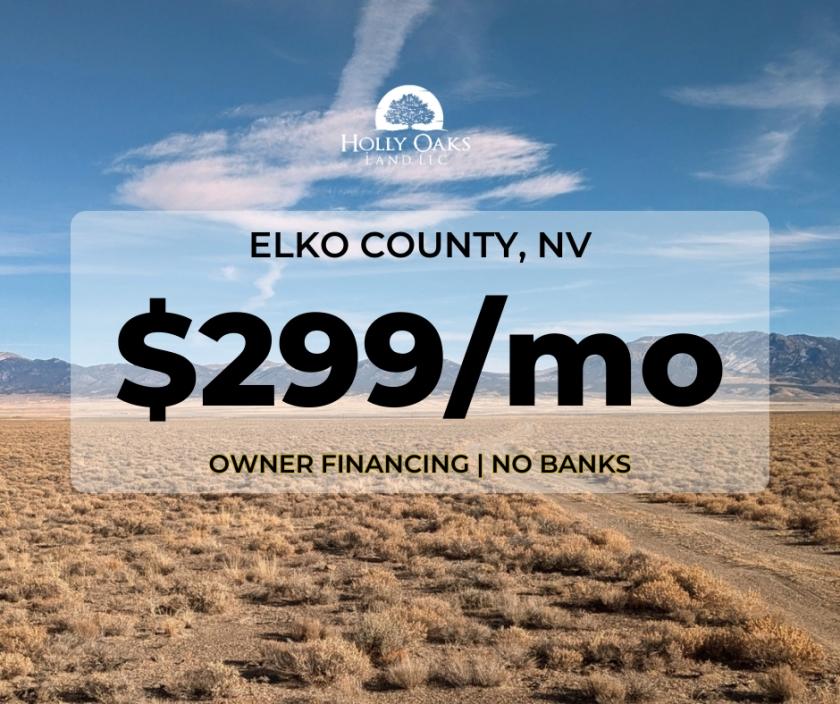 20 Acres for Sale in Montello, Nevada