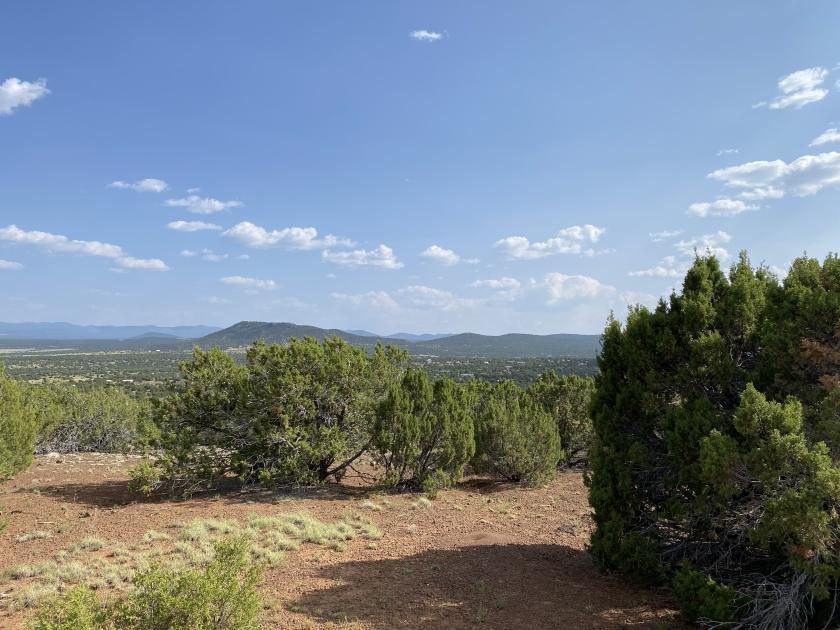 1.13 Acres for Sale in Concho, Arizona