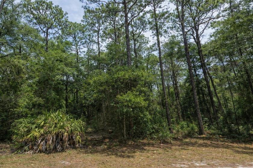 0.24 Acres for Sale in Dunnellon, Florida