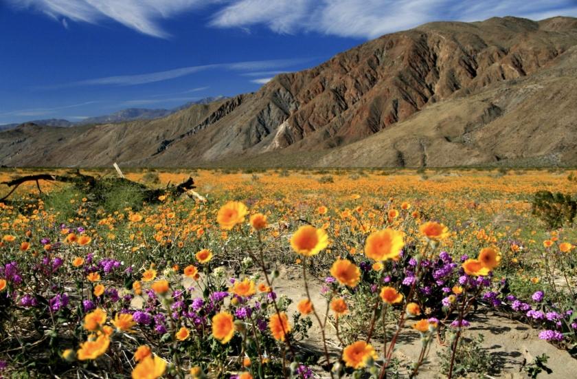 0.17 Acres for Sale in Lancaster, California