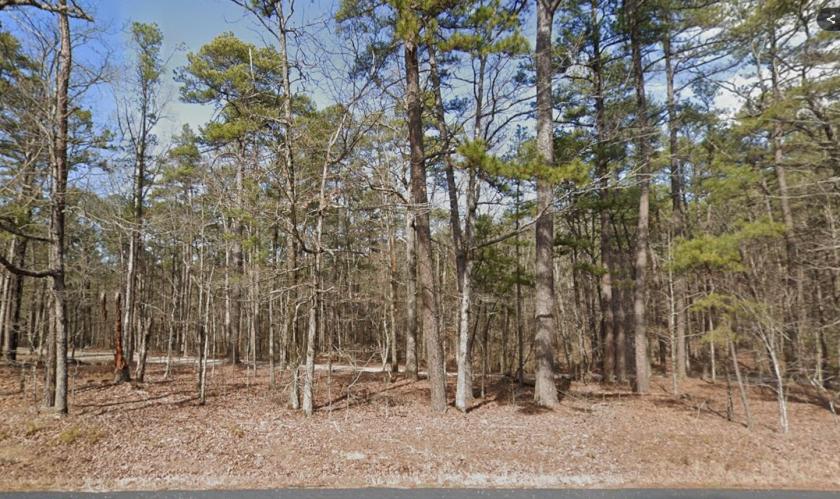 0.29 Acres for Sale in Hot Springs Village, Arkansas