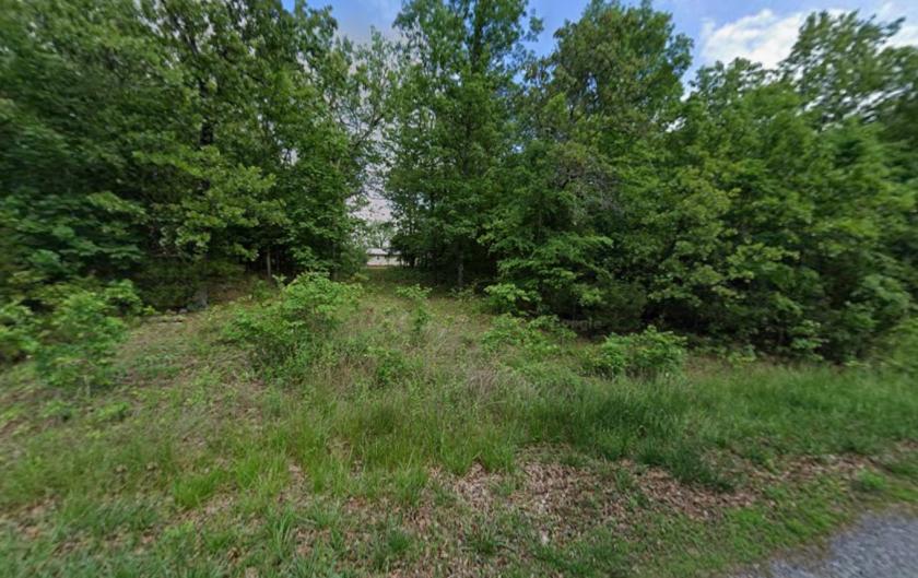 0.33 Acres for Sale in Horseshoe Bend, Arkansas