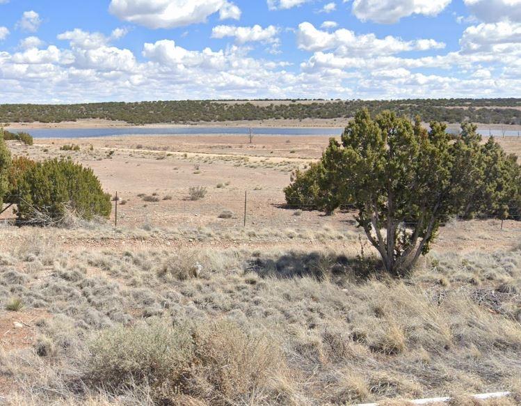 0.46 Acres for Sale in Concho, Arizona