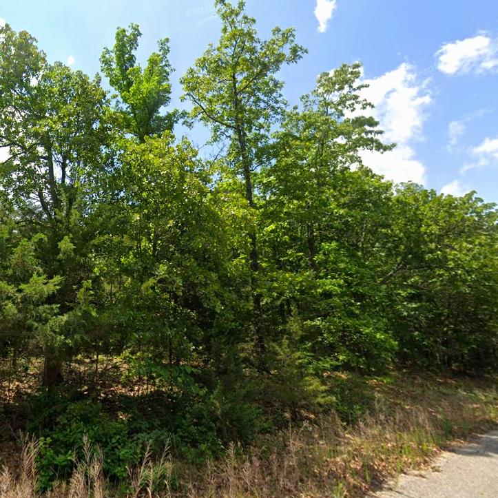 0.4 Acres for Sale in Horseshoe Bend, Arkansas