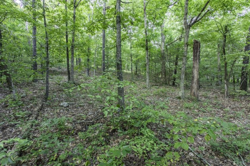 0.4 Acres for Sale in Horseshoe Bend, Arkansas