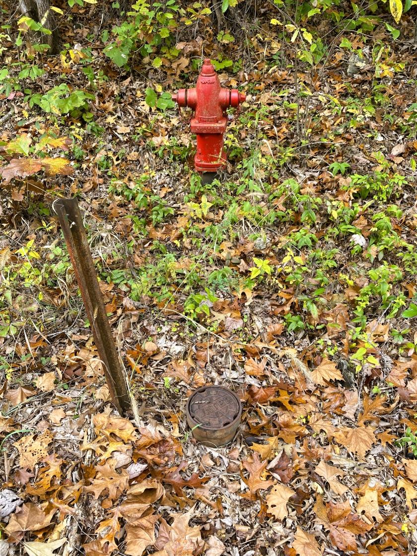 0.3 Acres for Sale in Horseshoe Bend, Arkansas