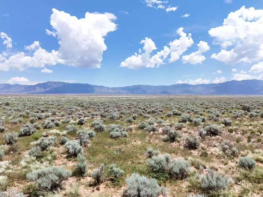 2.5 Acres for Sale in El Cerro-Monterey Park, New Mexico