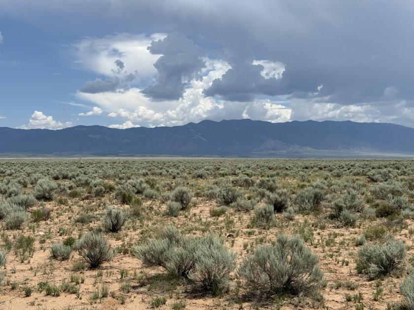 2.5 Acres for Sale in Las Maravillas, New Mexico