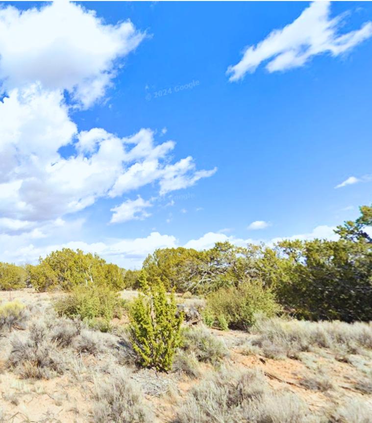 2.5 Acres for Sale in St. Johns, Arizona