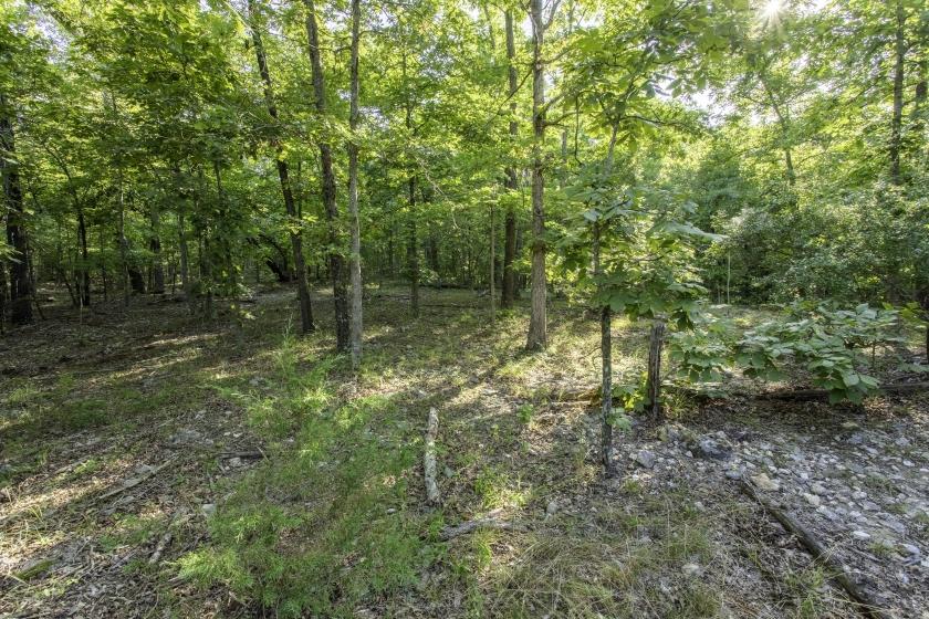 0.5 Acres for Sale in Horseshoe Bend, Arkansas