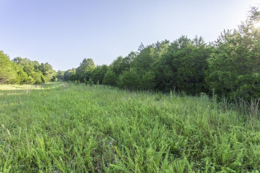0.30 Acres for Sale in Horseshoe Bend, Arkansas