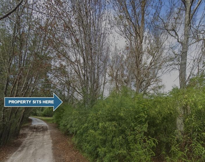 0.32 Acres for Sale in Florahome, Florida