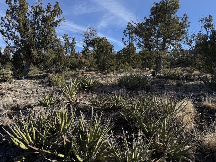 2.5 Acres for Sale in Ramah, New Mexico