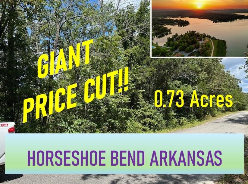 0.73 Acres for Sale in Horseshoe Bend, Arkansas